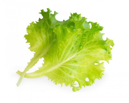 Salat - Urtepod